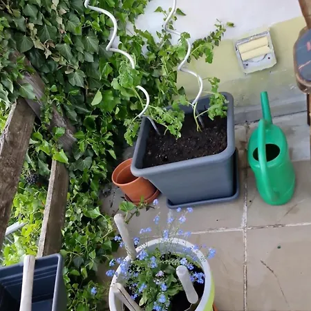 Relax Pur In Der I & Ii