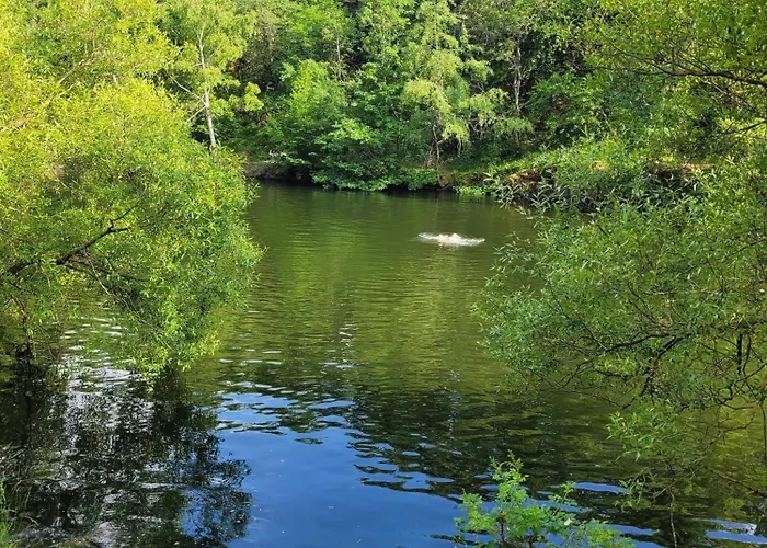 Relax Pur In Der I&ii *