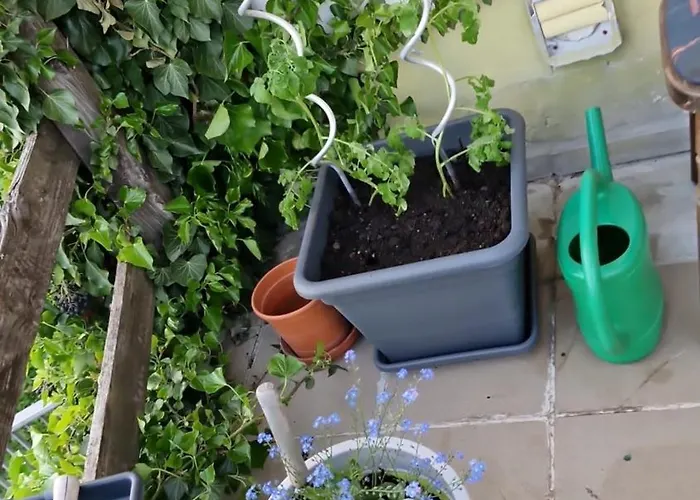 Relax Pur In Der I&ii